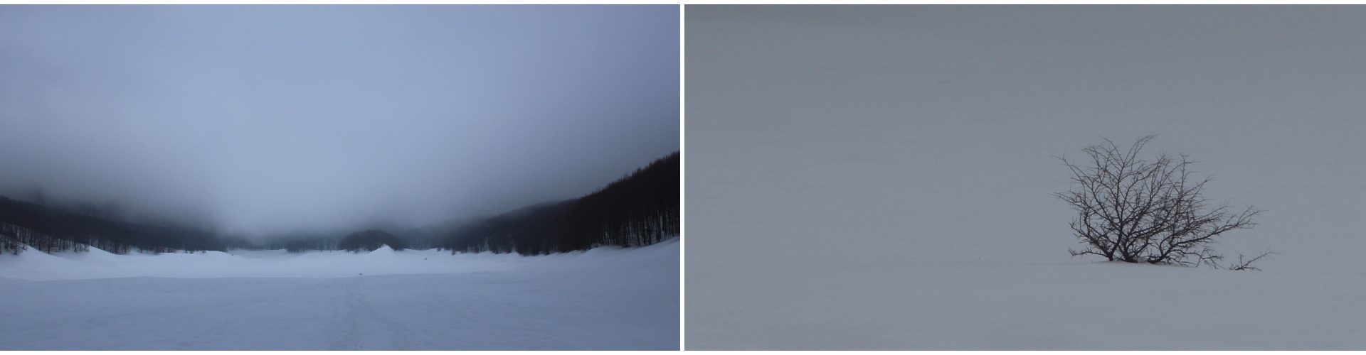 Distesa di ghiaccio e nebbia del “pianellone”tentando di raggiungere la cima del “Gallinola”.
Albero quasi totalmente sommerso dalla grande quantità di neve,con nebbia che lascia vedere ben poco in lontananza. Pianellone.